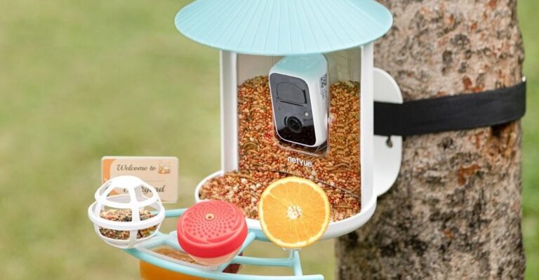 Mangeoire intelligente Birdfy : au meilleur prix jamais vu pour la Fête des Mères