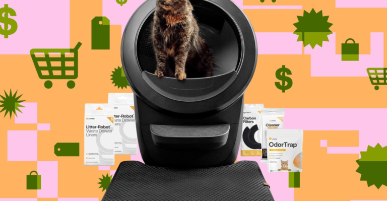Pack Litter-Robot 4 : au meilleur prix de l’année