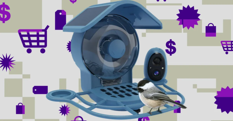 Mangeoire pour oiseaux connectée Aura solaire de Coolfly – réduction d’environ 50 %